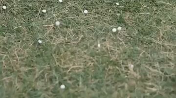 #ฉันเกิดใหม่  กรายเป็นภรรยาเจ้ามาเฟีย