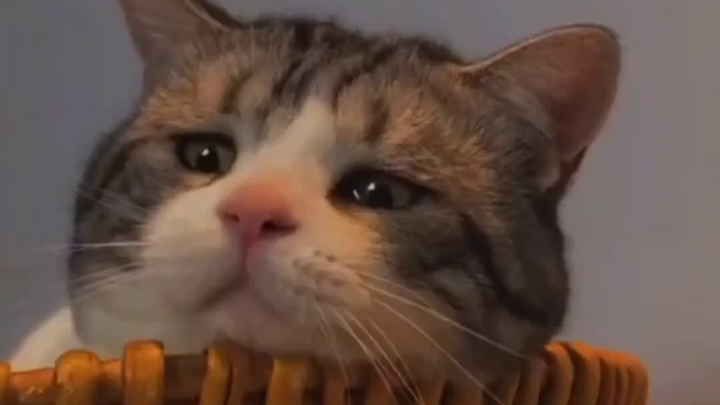 PNS cacat karena berani membela kebenaran, departemen organisasi: Dipecat? Hukuman minimal 6 tahun p