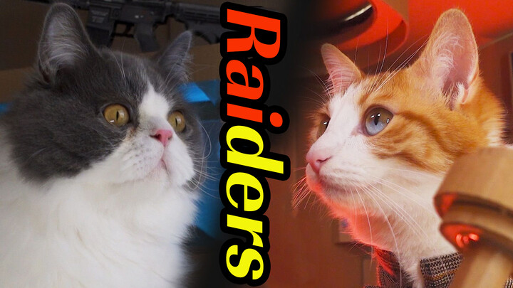 [Animals]Cat Wars: daily life of pet cats