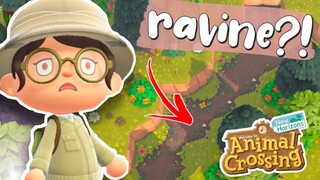 there's a RAVINE on my island?!