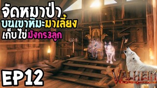 Valheim EP12 จับหมาป่ามาเลี้ยง เก็บไข่มังกร