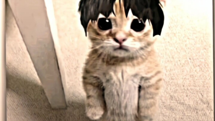 ajarin main fany bamh