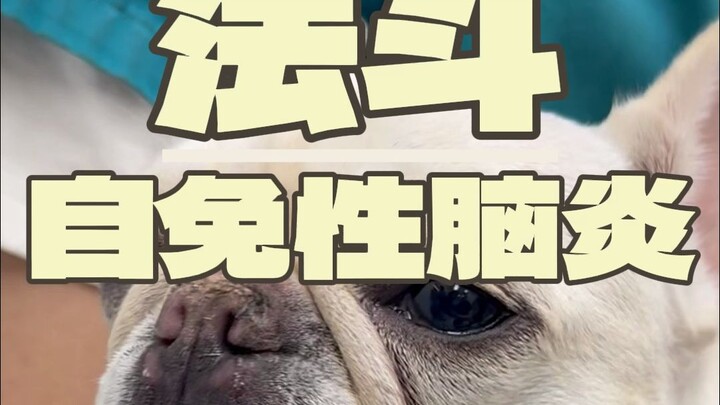 ดูเหมือนฉันถูกยกยอเกินไปแล้ว...