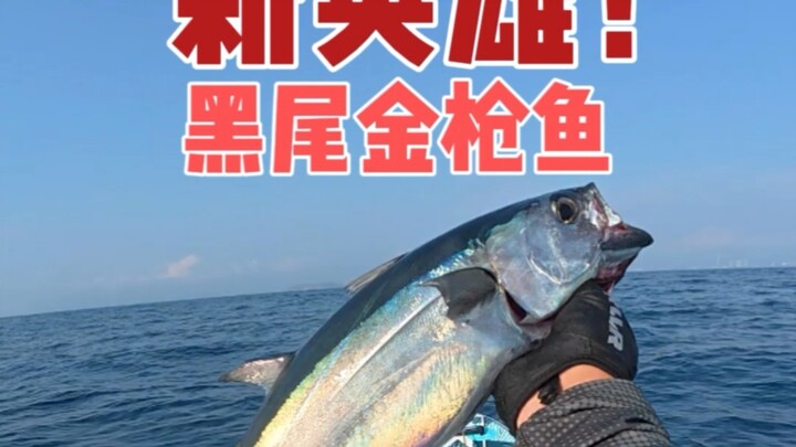 Berbagai cara memancing yang aneh-aneh dari para pemancing.