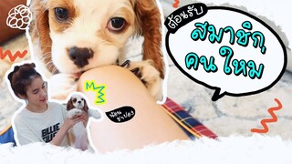 ดีใจมากกกก!! ต้อนรับสมาชิกใหม่ของบ้าน | Yoshi Rinrada