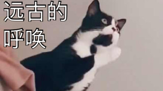 "远古的呼唤"