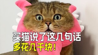 😸【ต้องอ่านเมื่อซื้อแมว】4 ประโยค อย่าพูดแบบลวกๆ ระวังโดนหลอก❗️❗️