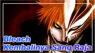 [AMV Bleach] Kembalinya Sang Raja