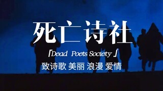 “毫无信仰的人群川流不息，而你可以奉献一首诗”｜【死亡诗社】致诗歌 美丽 浪漫 爱情