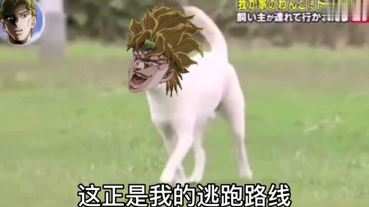 把jojo抓走，看dio的反应