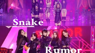 【نقاط مريحة】ماذا يحدث عندما تلتقي مصادر صوت rumor مع رقصة snake؟