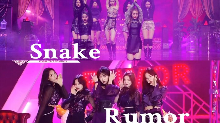 【Comfortable Timing】What happens when rumor's music meets snake's choreography?