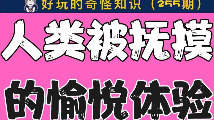 【Not for Men and Women】The Pleasurable Experience of Humans Being Stroked