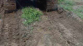 back to garage