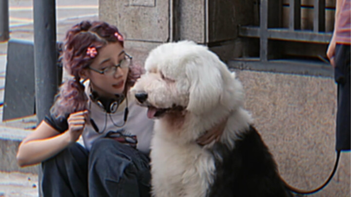 Cún ơi, cậu thật là có số hưởng nha… Chủ nhân của cậu cũng tốt lắm, còn sẵn sàng đợi cậu trò chuyện 