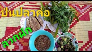 เมนูง่ายๆบ้านๆ ป่นปลาค่อ ลวกผัก