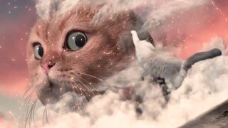 Lagu tema film meme kucing Guren's Nekoya kini tersedia online