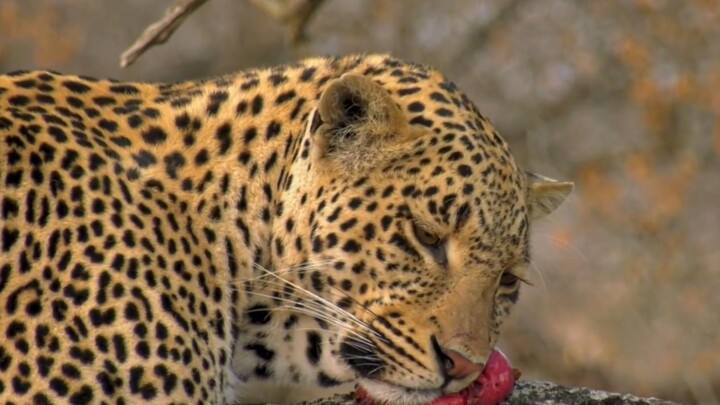 “天生我材必有用，我能不用就不用”