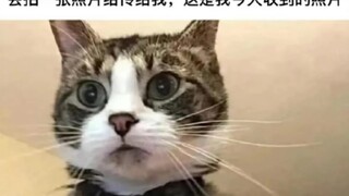 如果连续输入错了3次密码会拍一张照片传给我，这是我今天收到的照片...