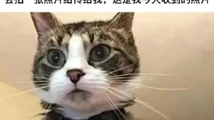 If you enter the wrong password three times in a row, a photo will be taken and sent to me. This is 