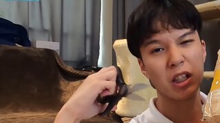 Unboxing the 500-yuan Kamen Rider lucky bag, wishing you good luck on your exams, but this is what c