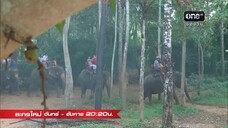 สงครามนางงาม ตอนที่28