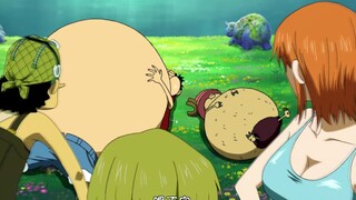 One Piece: Chopper followed such a captain, it would be strange not to be led astray!