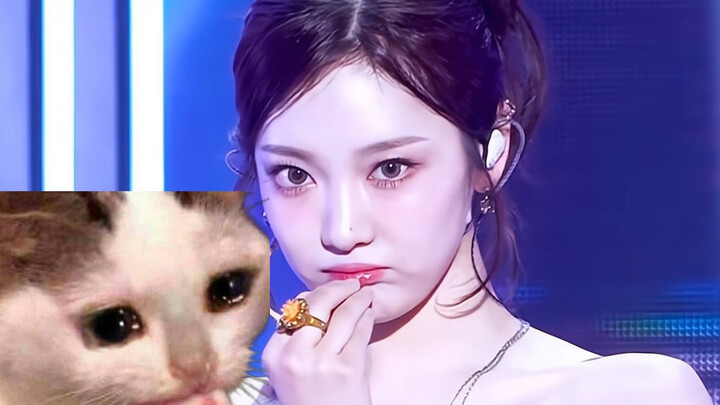 Zhuo Zhuo is a little cat who forgot to take pictures!!