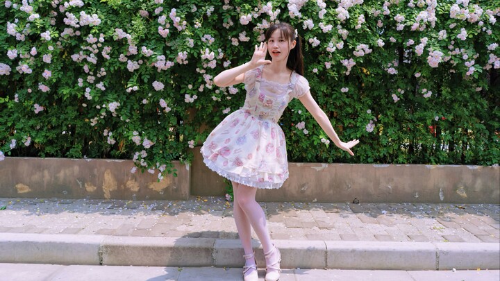 Tolong sebutkan “Bagian termanis dari diriku”! (๑•ᴗ•๑)♡🌷 Edisi khusus bunga mawar~