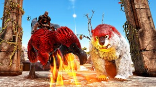 【Xiami】Heading to the Other Side of the Sea! Challenging the Guardian Stegosaurus and King Kong! Ark