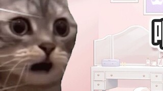 【Cat meme】There are five people in the group, five of them are playing Star Iron, but they don’t kno