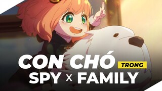 Tiểu sử về Bond: Chú CHÓ bất ổn | SPY X FAMILY