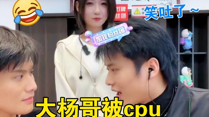 Ms. Cheng herself called Xiao Yang “a sly dog”—that’s really cutting to the bone, isn’t it?