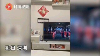 近日，深圳，一个狗狗和小孩合作偷吃饼干的视频走红网络，视频中狗狗叼来椅子给小主人，小主人踩在椅子上去拿鱼缸顶部的饼干，小主人拿到后先给狗狗吃，之后才自己品尝。