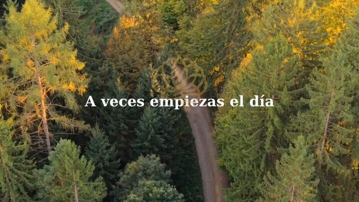 Una palabra guía para orientar tu día
