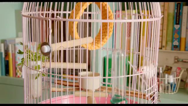 We love Full Movie Eng Sub BiliBili