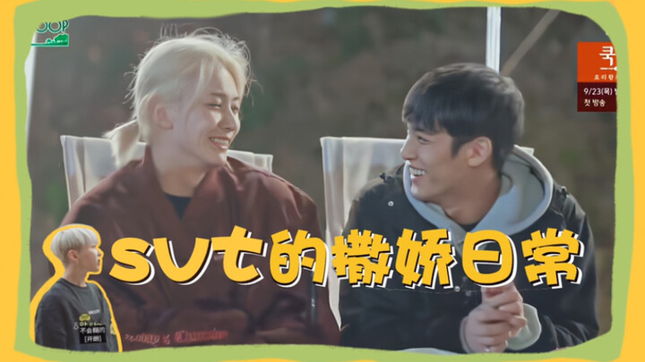 【SEVENTEEN】Chúng tôi thực sự rất hay làm nũng với các thành viên trong nhóm đấy!