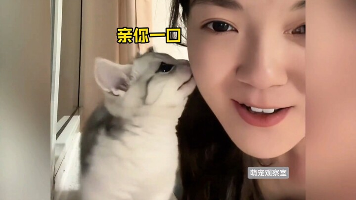 “Momen menggemaskan si kucing kecil”