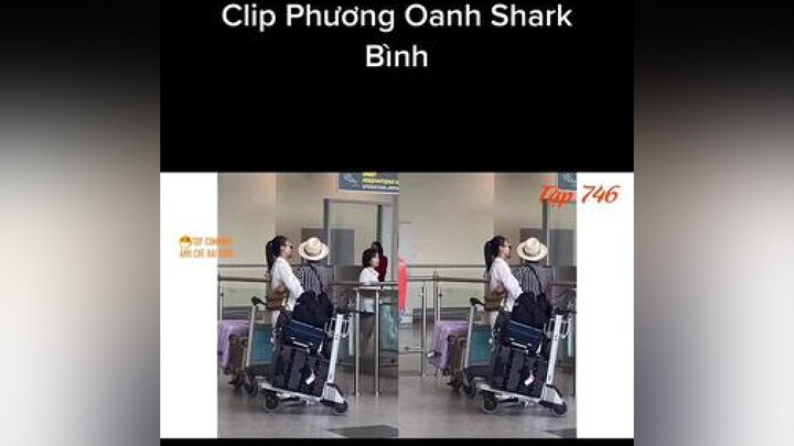 Quỳnh búp bê phương oanh và shark bình