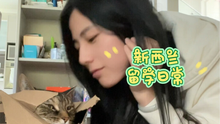 ภารกิจวันนี้: อยู่เคียงข้างเจ้าเหมียวตลอดสองชั่วโมง