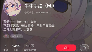 关于我被盗作品