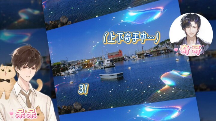 我怎么那么爱看奇哥制裁呆呆呢哈哈哈哈哈