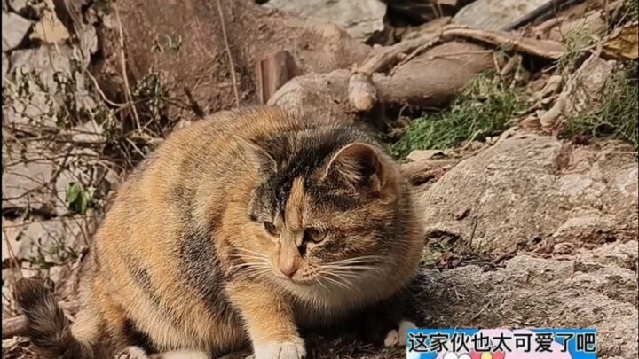 Mimi tròn xoe ở điểm tham quan (hôn thật mạnh 500 lần!!)