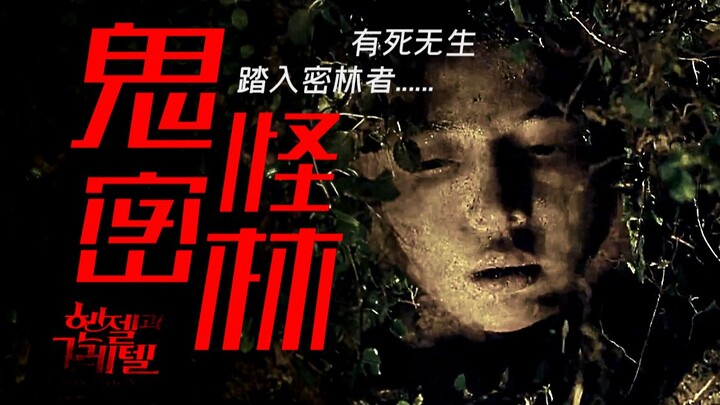 The Man-Eating Jungle Where Time Stands Still: Anyone Who Wanders In Becomes Fertilizer – A Plot Sum