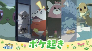 【宝可梦】「宝可起床」合集（新叶喵～伊布）