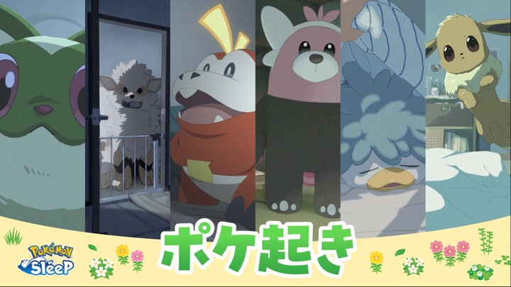 [Pokémon] "Pokémon Wake Up" Collection (New Leaf Meow ~ Eevee)