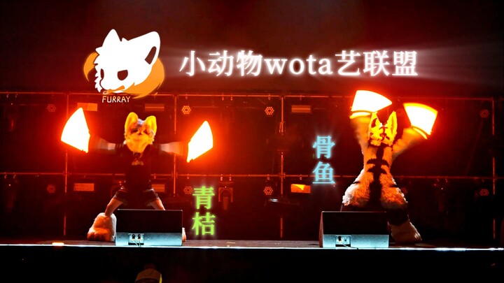 【هاي فاري 2025 | منصة تسلق فن WOTA】إعادة الإنتاج