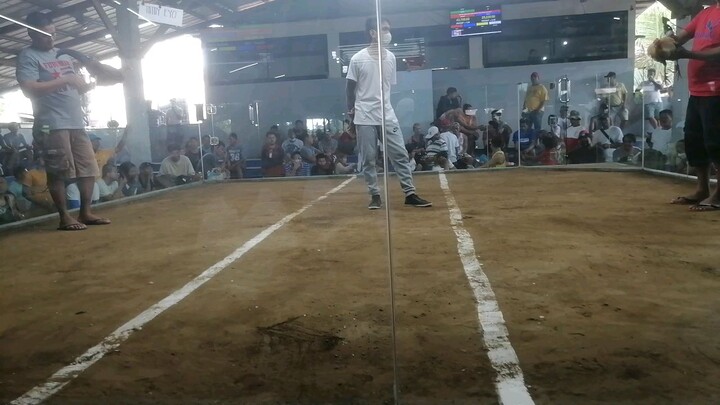 1st fight Lemon sweater. Unscratched kontra bulik