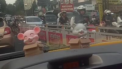 kids panda asli dari tunggal jaya