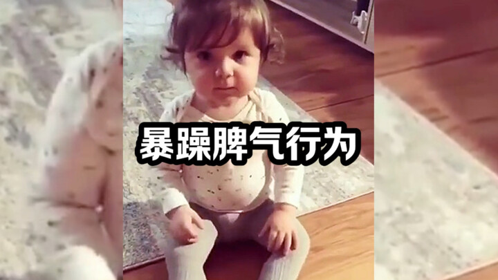 人类暴躁脾气行为大赏！